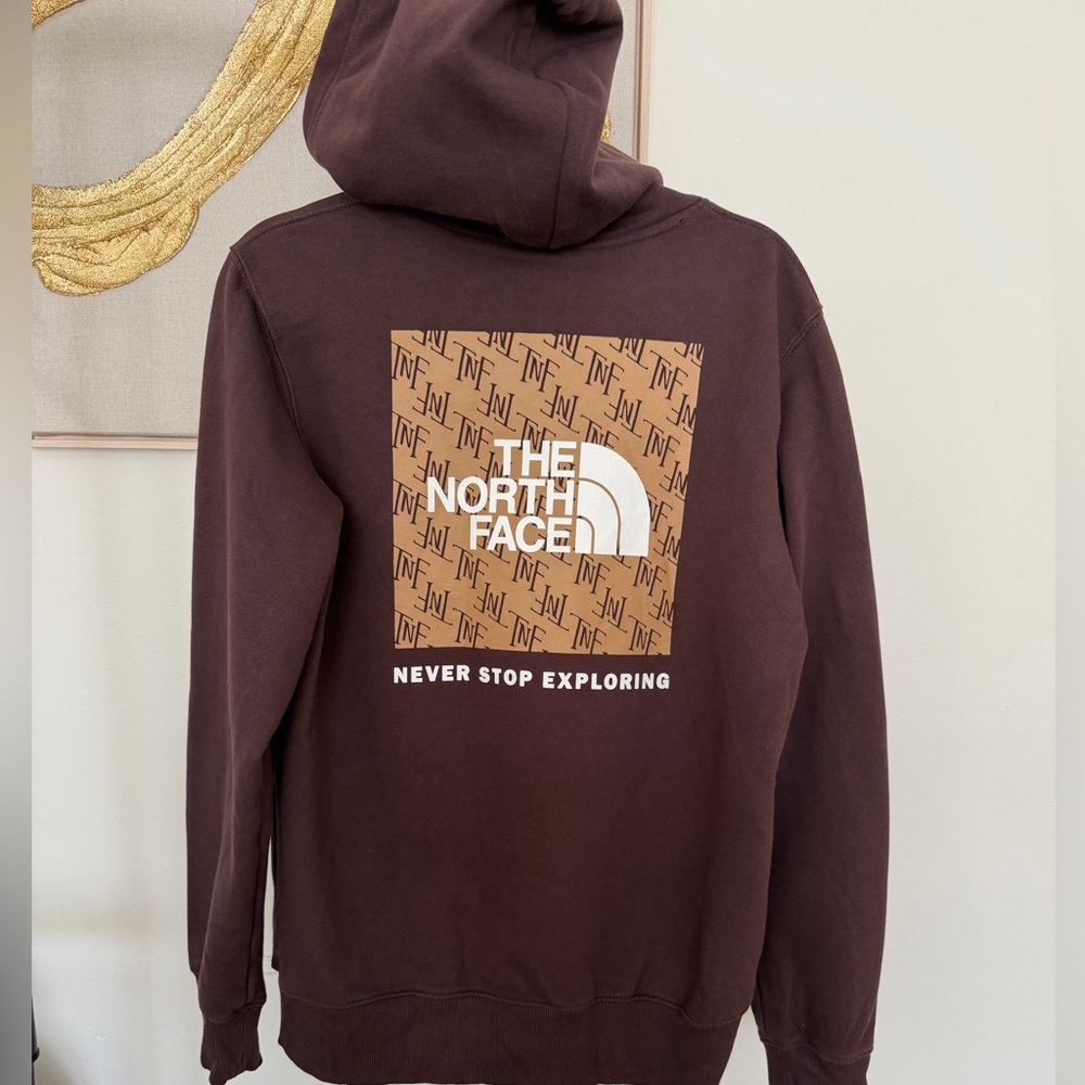 The North Face Men's Chocolate Brown Hoodie